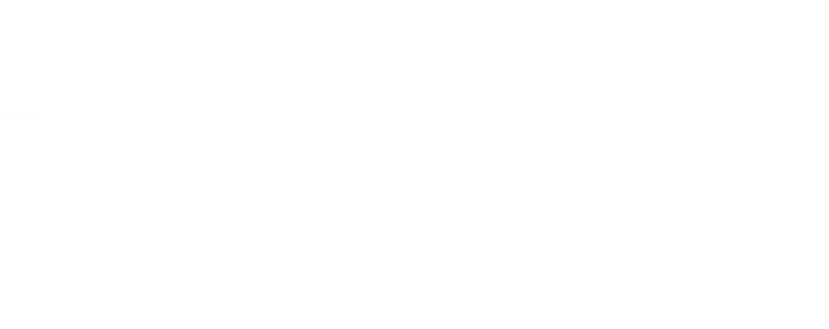 logo-pmp-white.webp